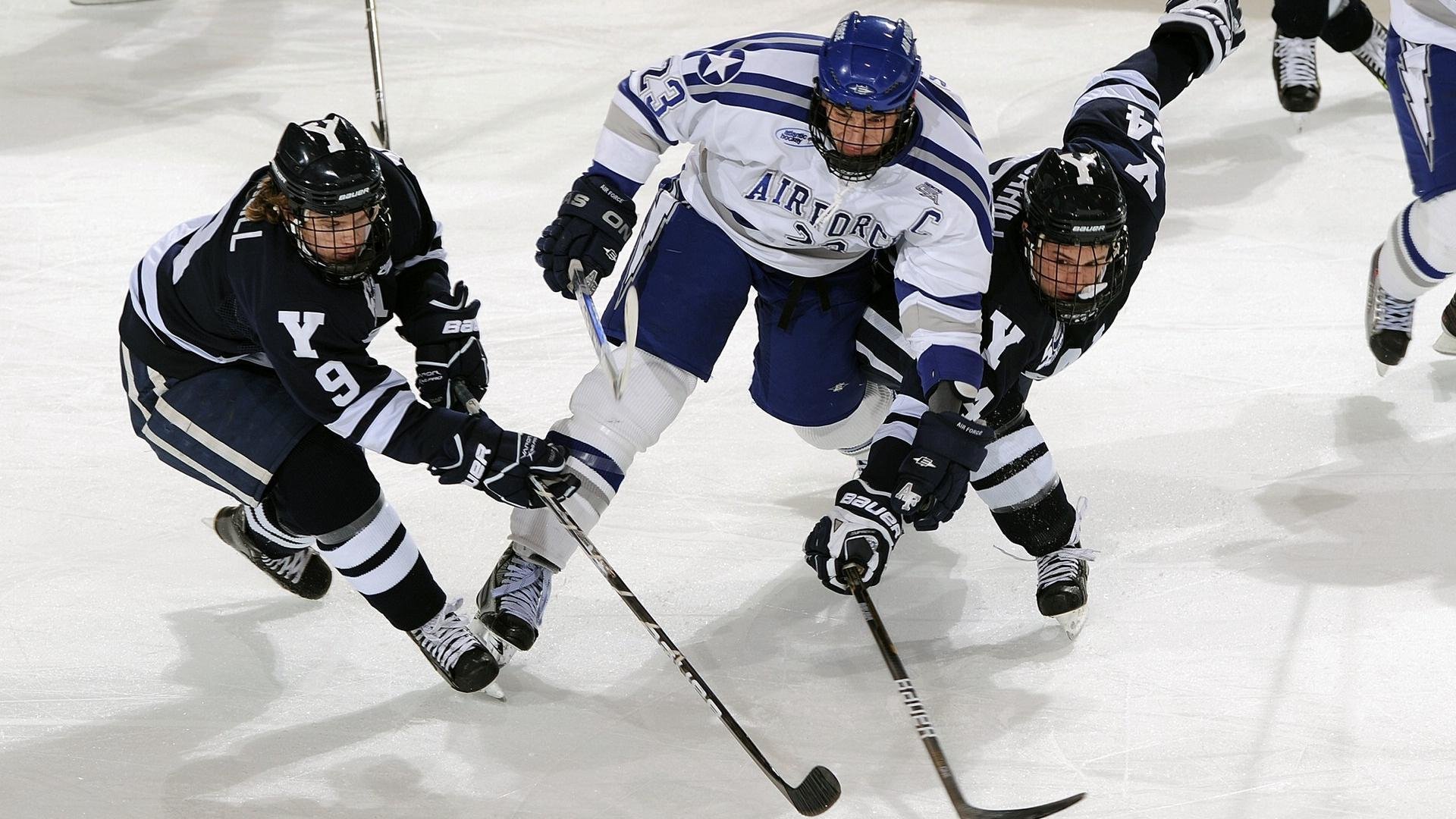 体育文化传播方式多样化,体育文化的传播